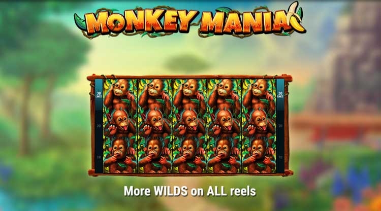 Monkey Mania bonus